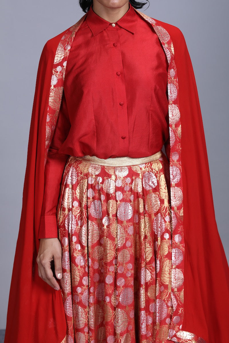 Women's Mano Gold-Silver Brocade Lehenga - Red colour, panelled